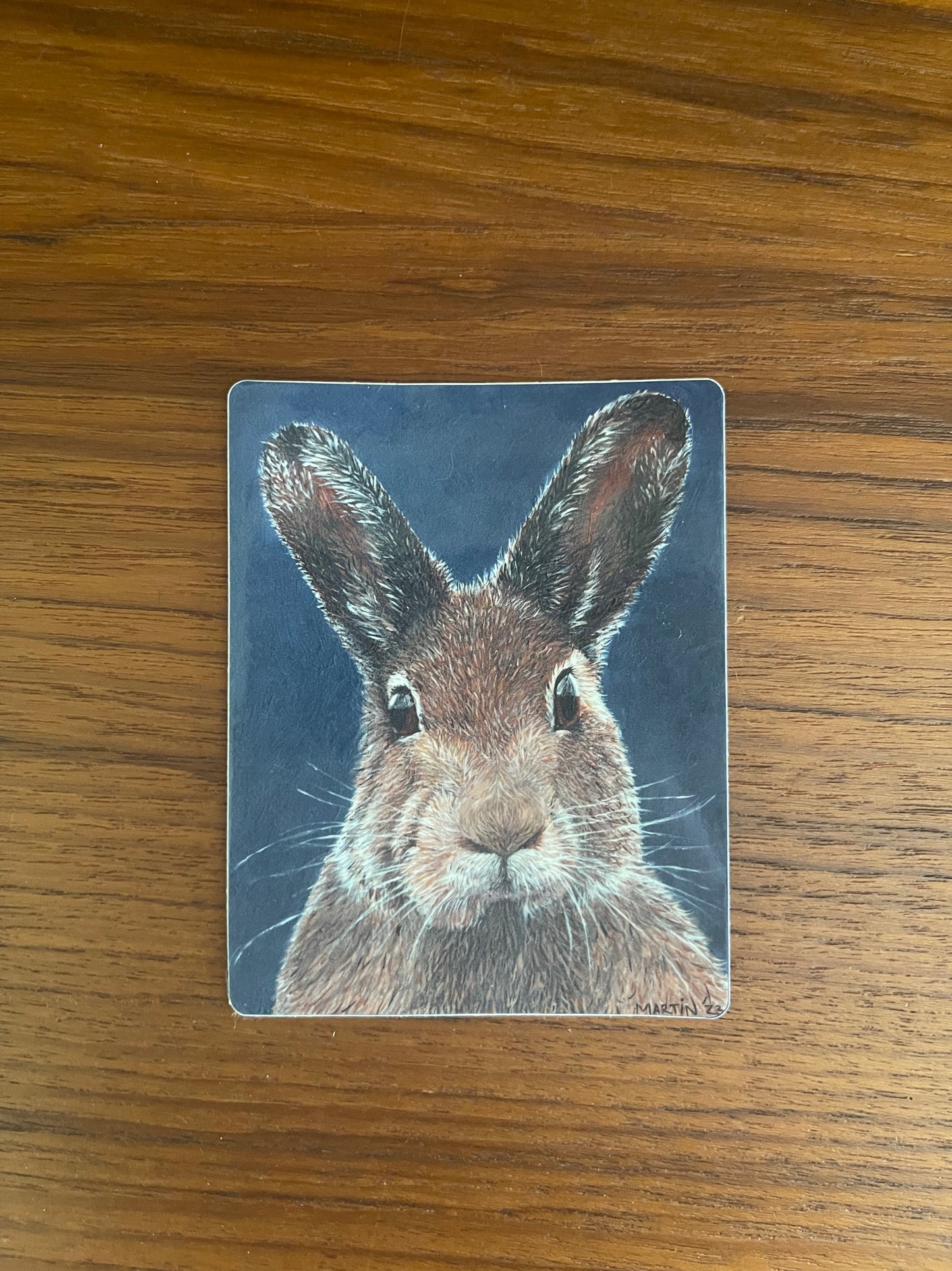 Carl the Rabbit Sticker - FREE SHIPPING IN THE US