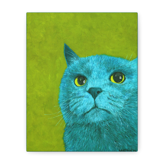 Teal Judgmental Kitty Canvas Gallery Wrap