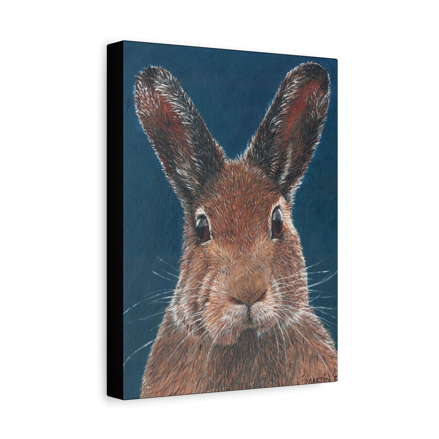 Carl the Rabbit Canvas Gallery Wraps