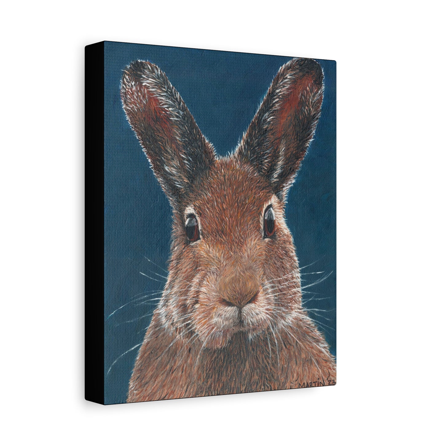 Carl the Rabbit Canvas Gallery Wraps