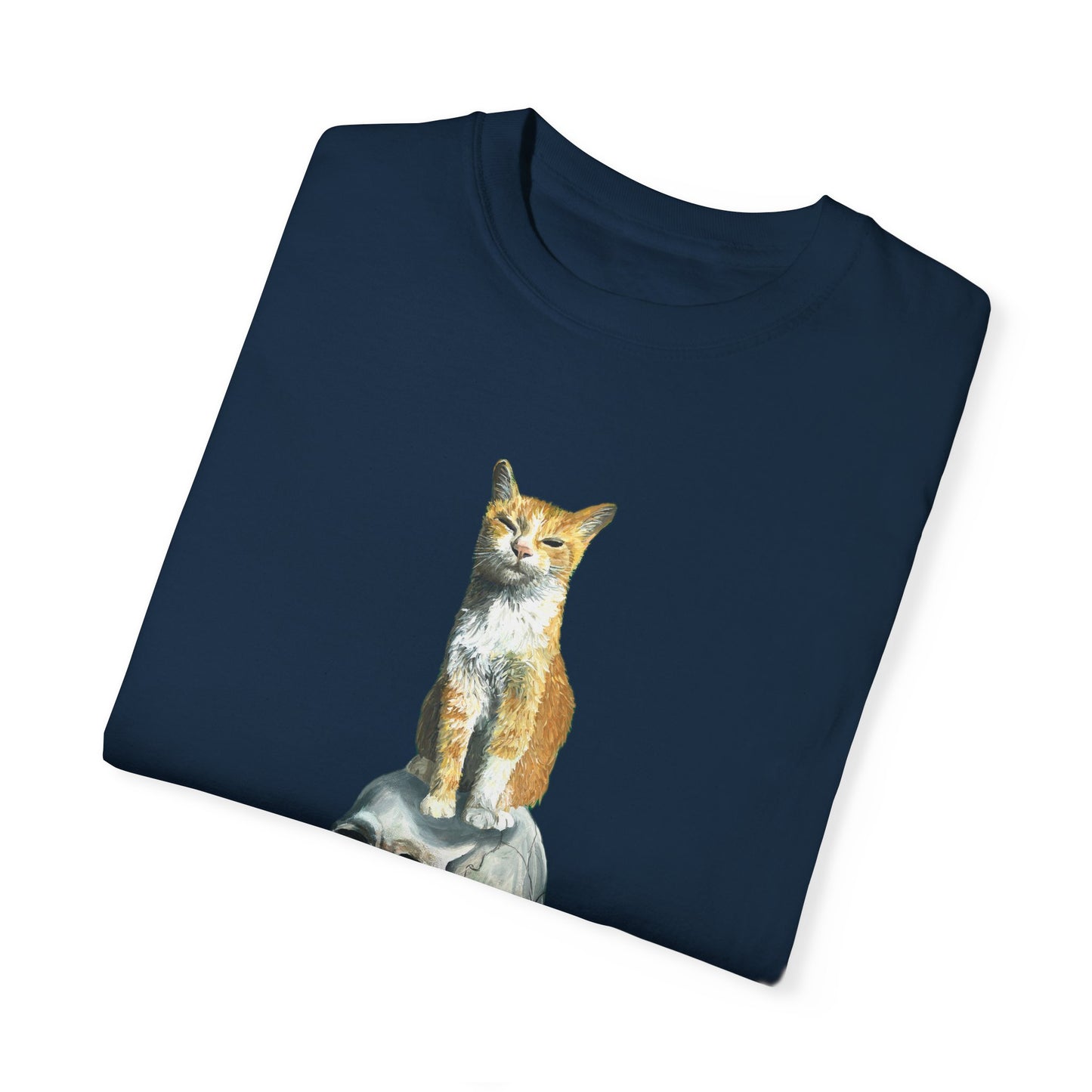 Dave and the Skull of His Enemy Unisex Garment-Dyed T-shirt