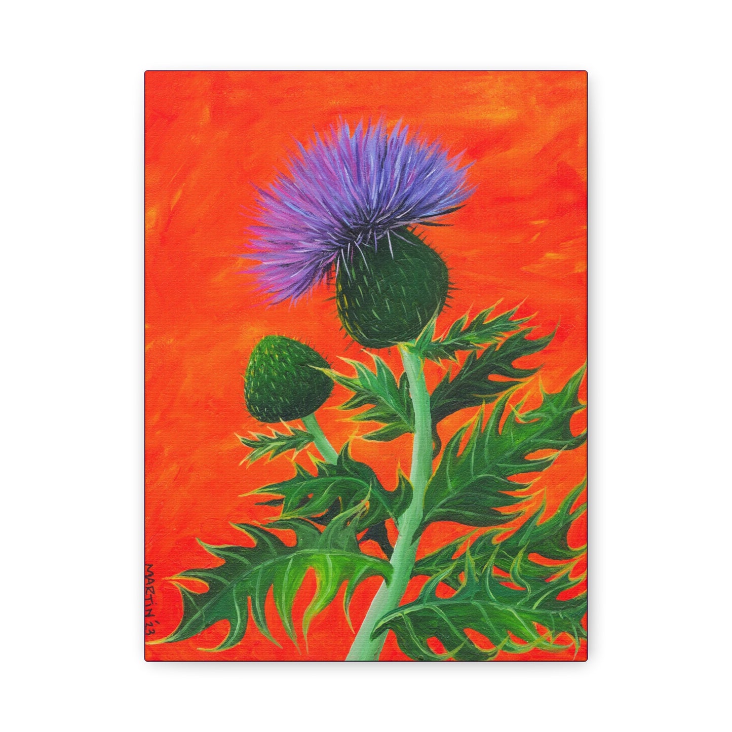 Thistle Canvas Gallery Wraps