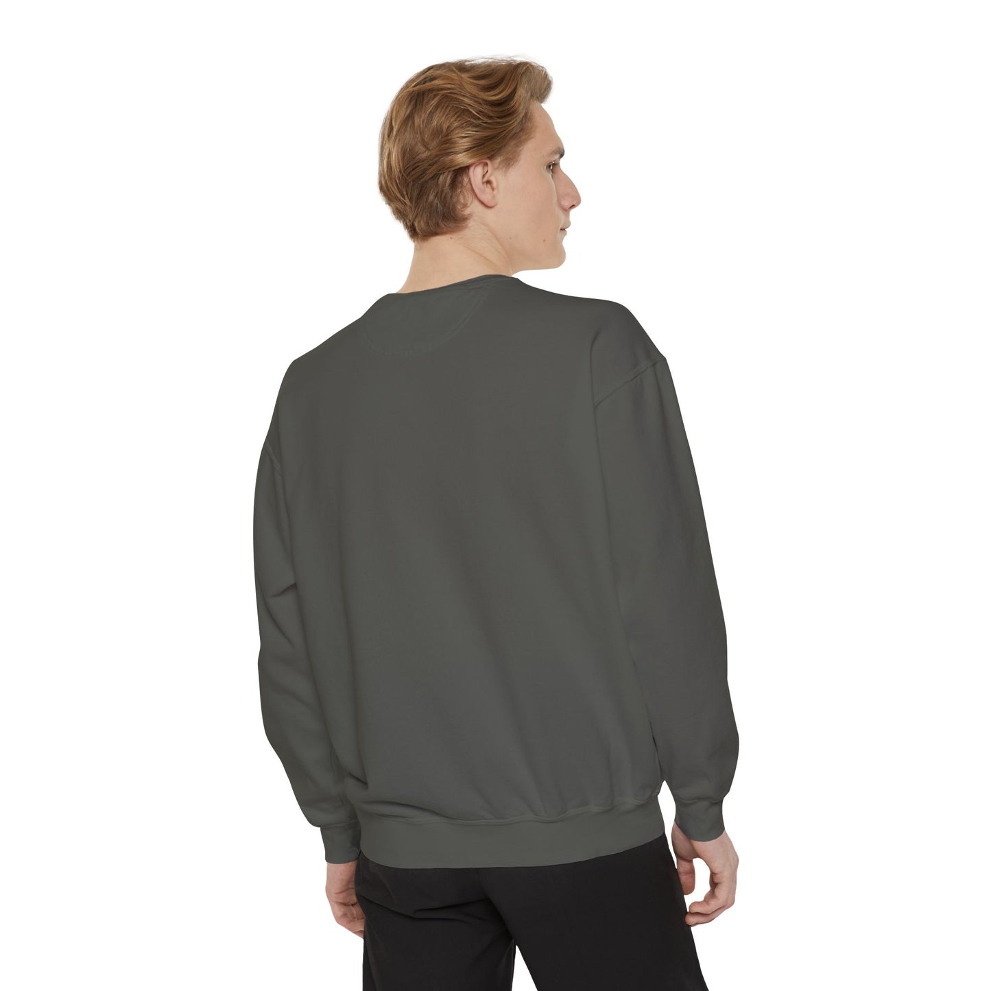 Rainbow Horse Unisex Garment-Dyed Sweatshirt