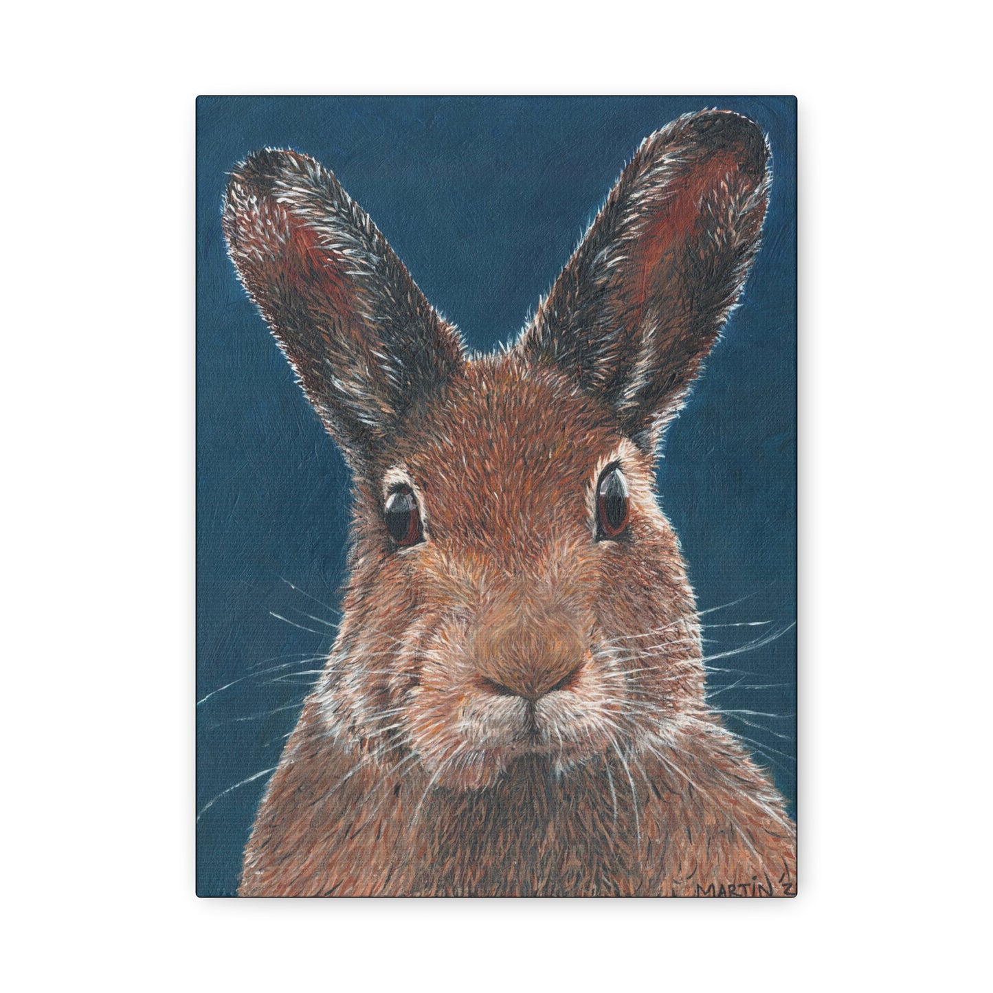 Carl the Rabbit Canvas Gallery Wraps