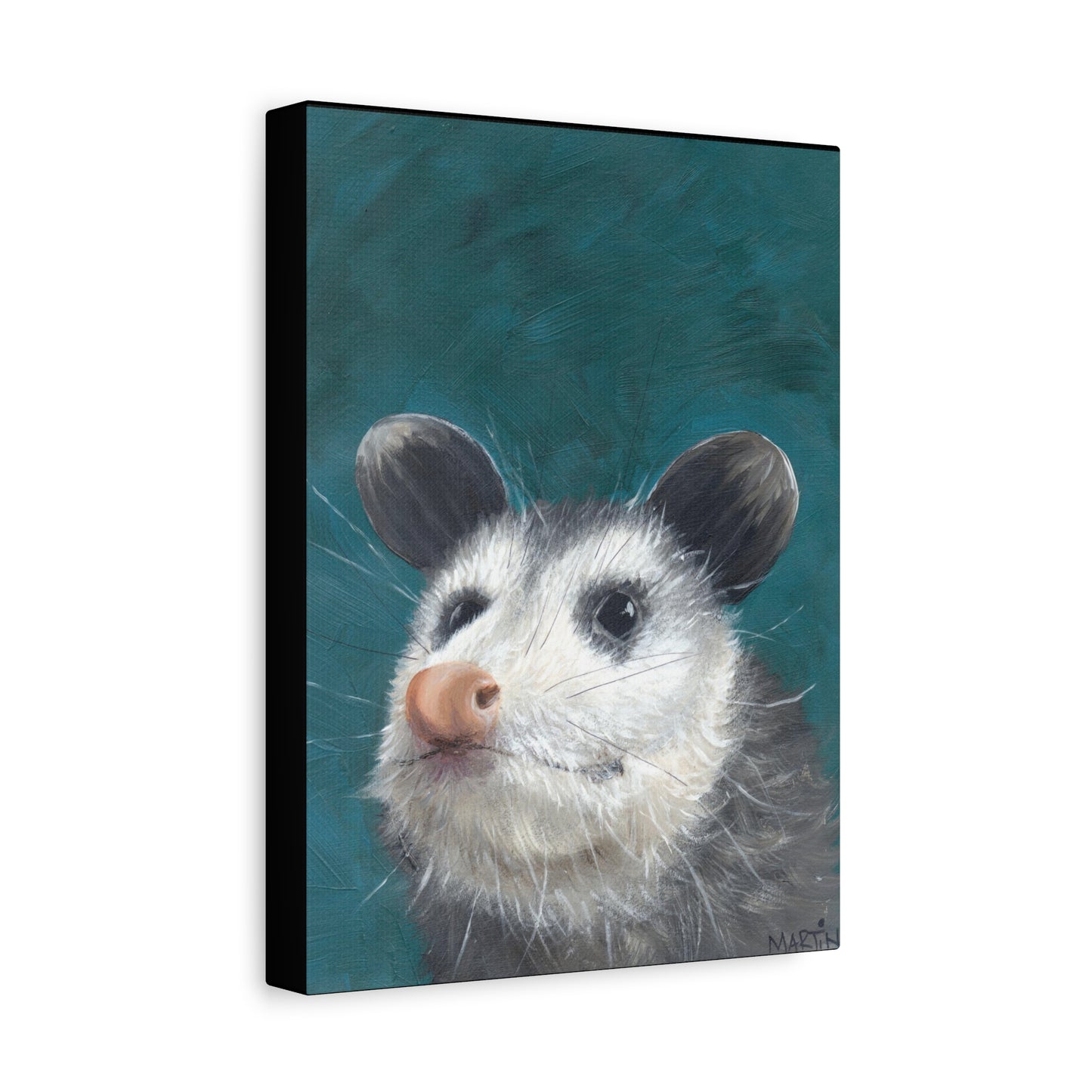 Baby Opossum Canvas Gallery Wraps