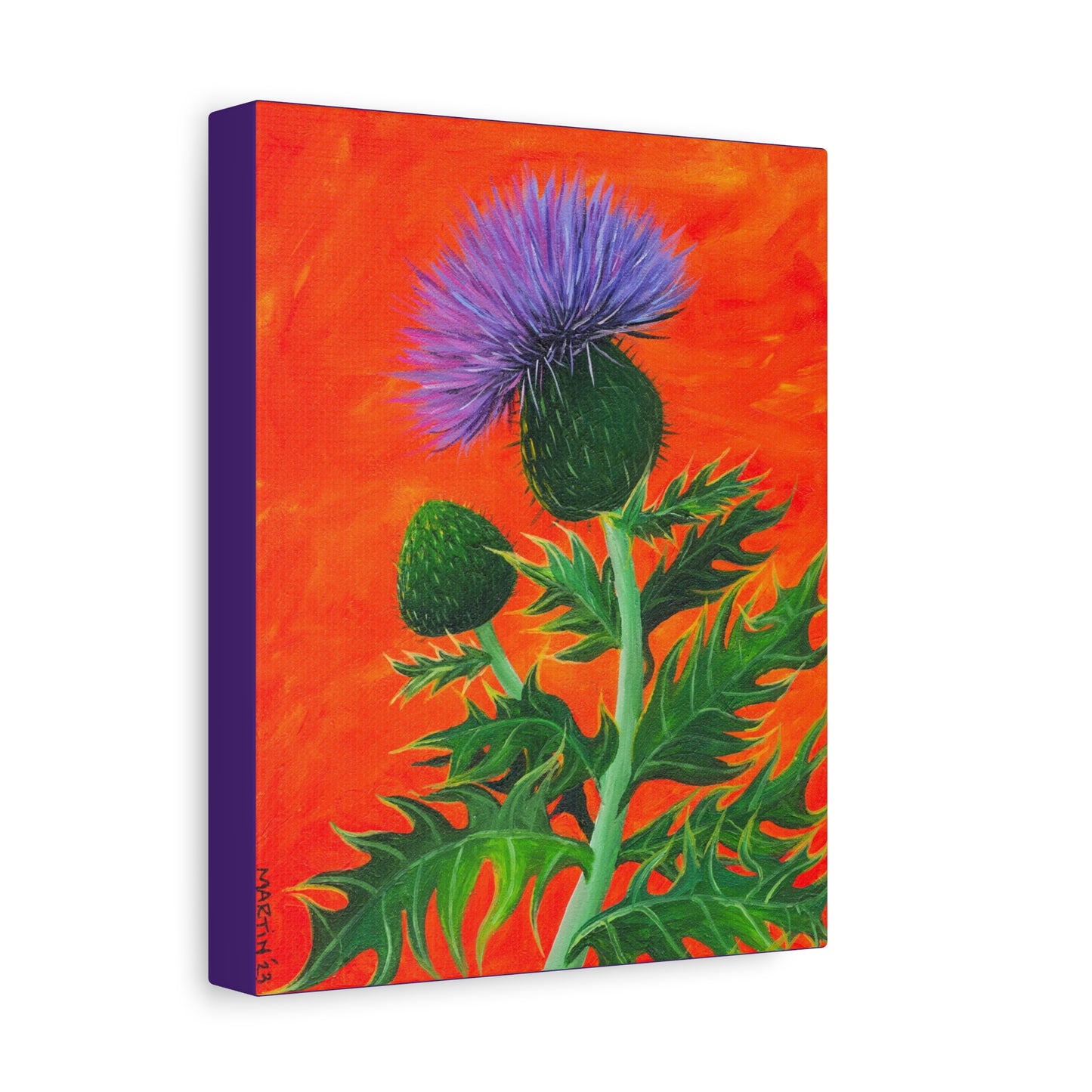 Thistle Canvas Gallery Wraps