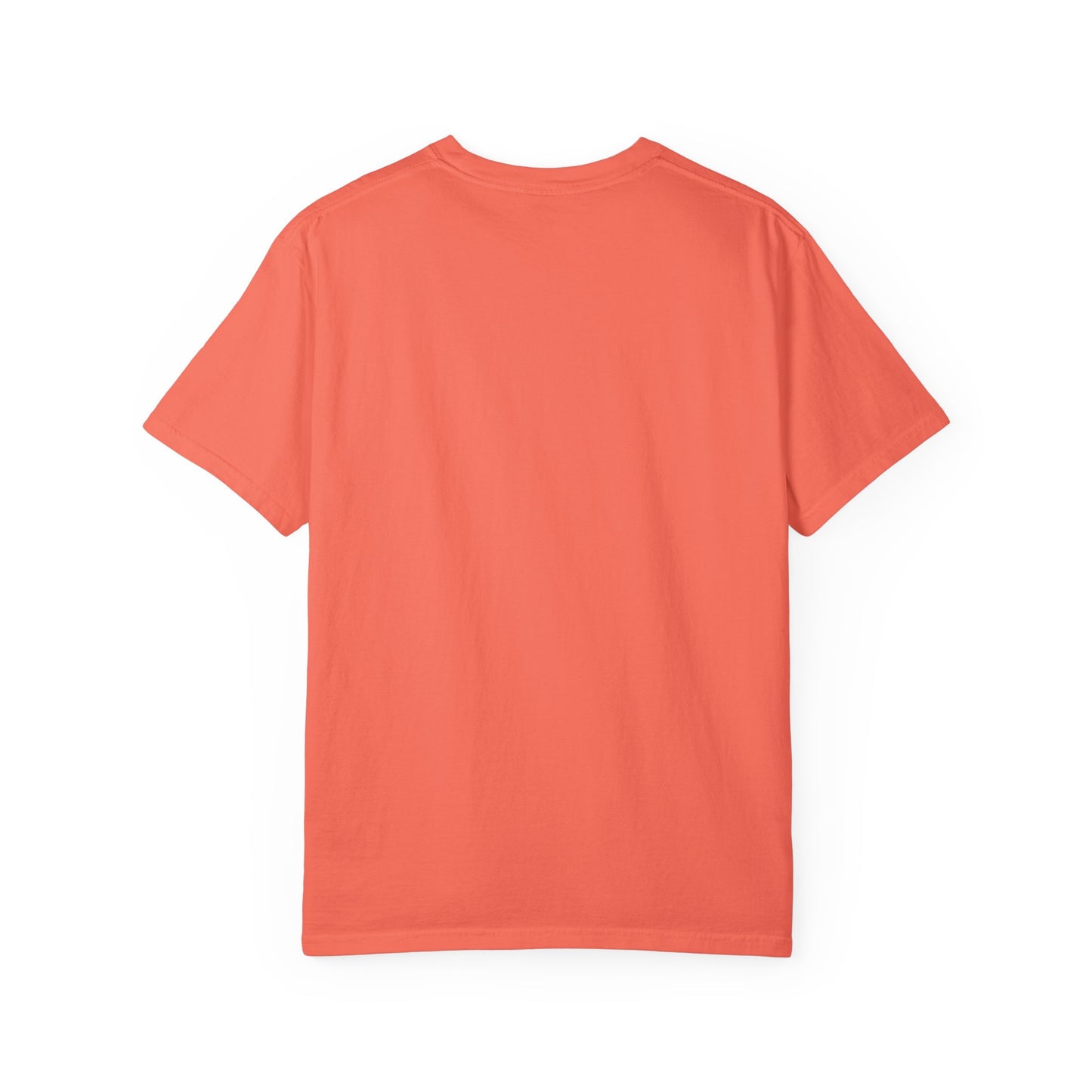 Bad Rabbitt Art Studio COMFORT COLORS Unisex Garment-Dyed T-shirt