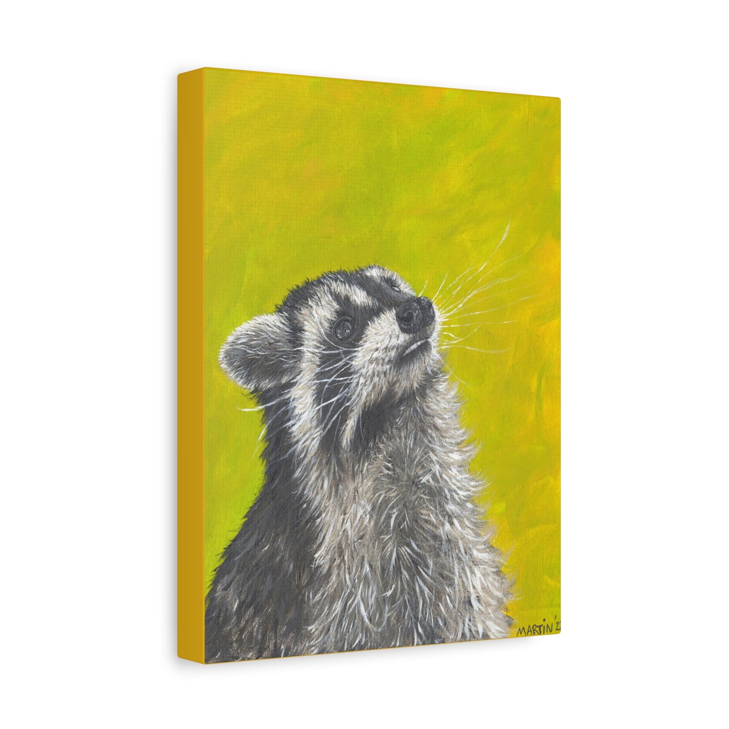 Raccoon Canvas Gallery Wraps