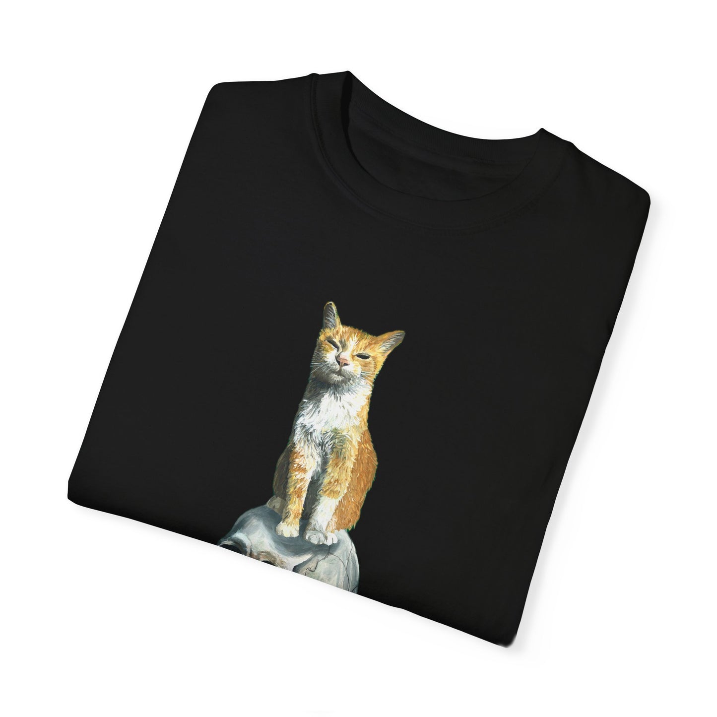 Dave and the Skull of His Enemy Unisex Garment-Dyed T-shirt