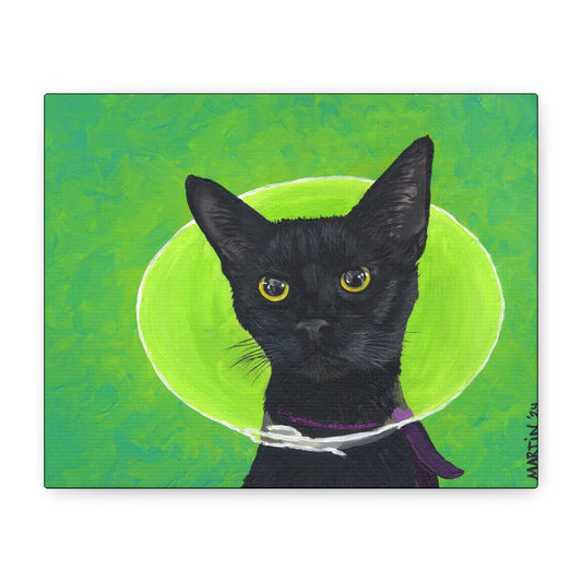 Gene Parmesan Cone of Shame - Canvas Gallery Wrap