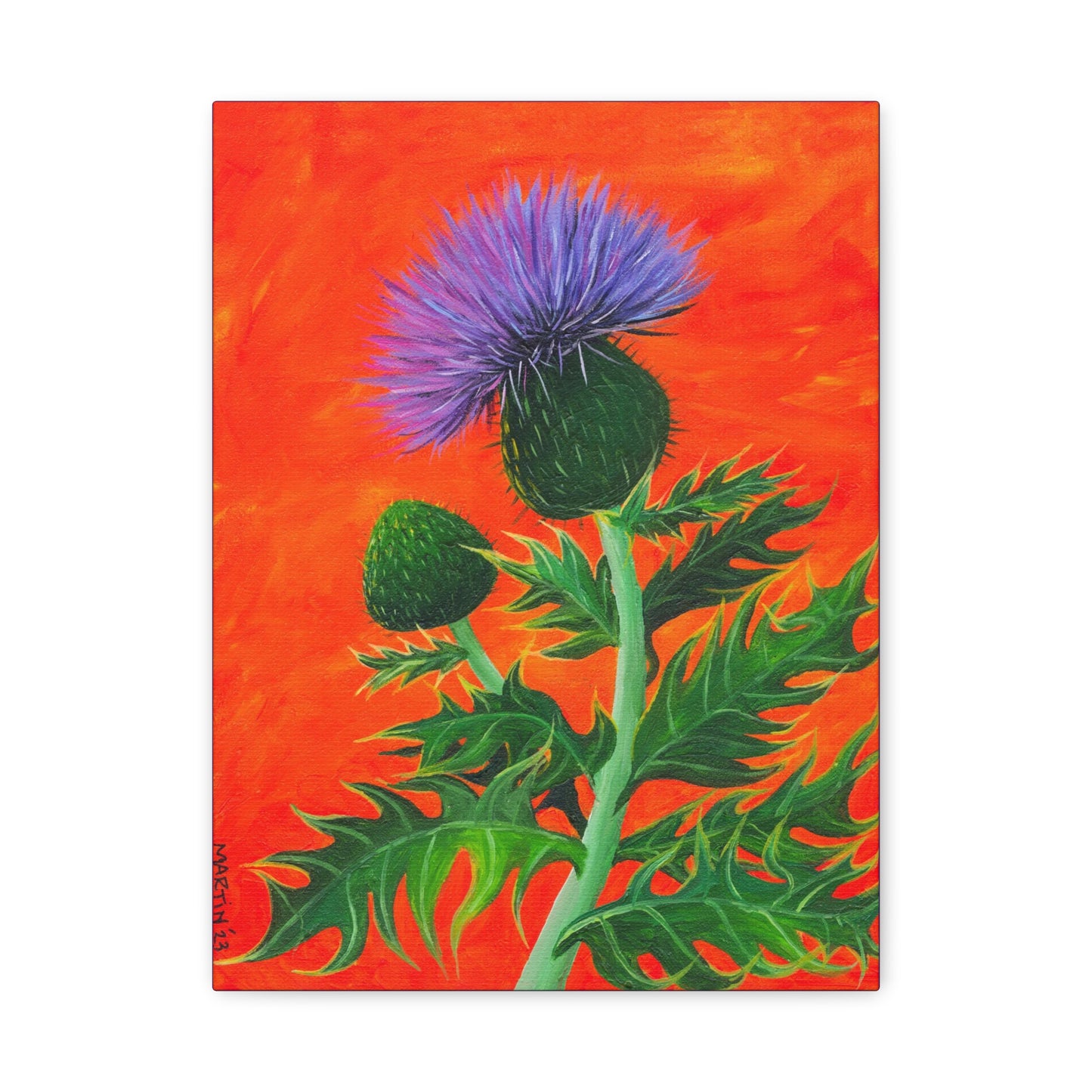 Thistle Canvas Gallery Wraps