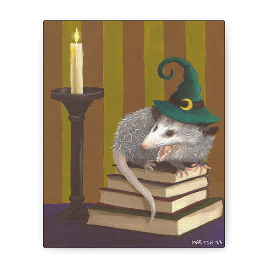 Opossum Witch Canvas Gallery Wrap
