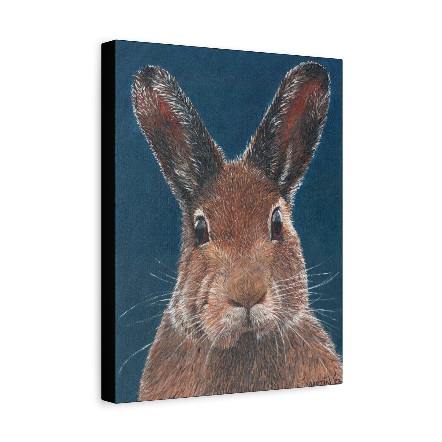 Carl the Rabbit Canvas Gallery Wraps
