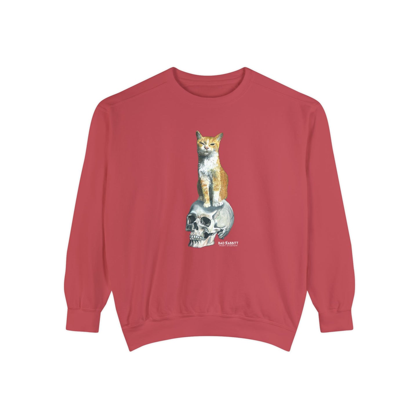 Dave and the Skull of His Enemy Unisex Garment-Dyed Sweatshirt