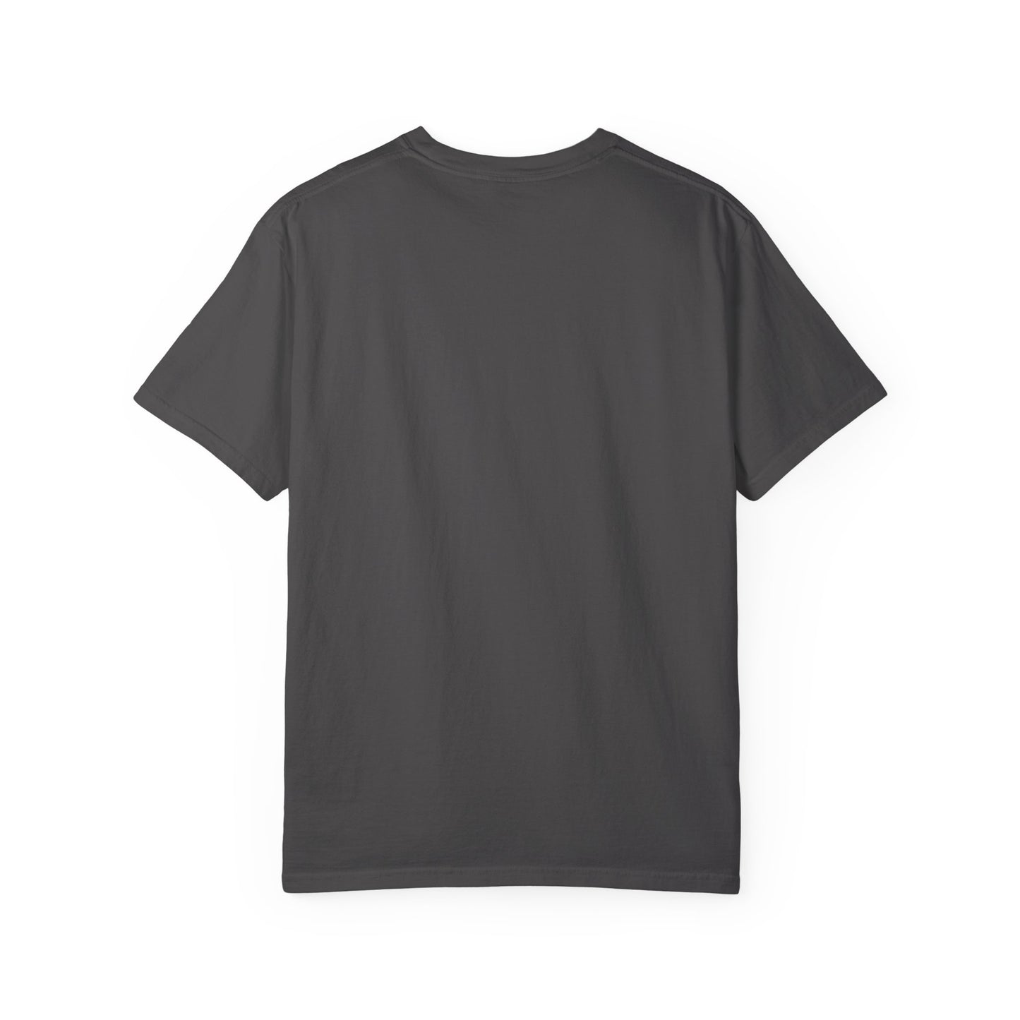 Space Horse Unisex Garment-Dyed T-shirt