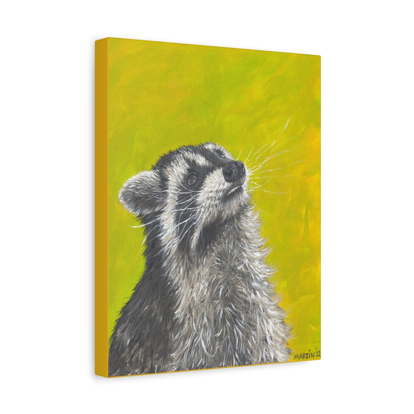 Raccoon Canvas Gallery Wraps