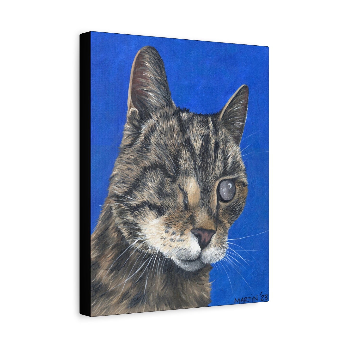 The Great Bob Cat of Southport Canvas Gallery Wrap