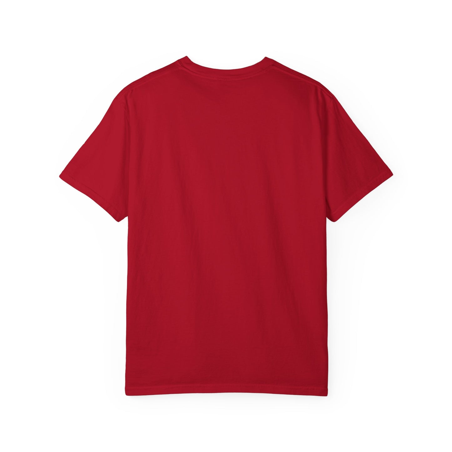 Bad Rabbitt Art Studio COMFORT COLORS Unisex Garment-Dyed T-shirt