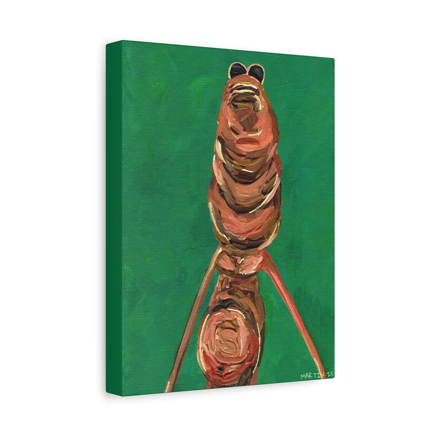 Marcus the Worm Matte Canvas, Stretched, 1.25"