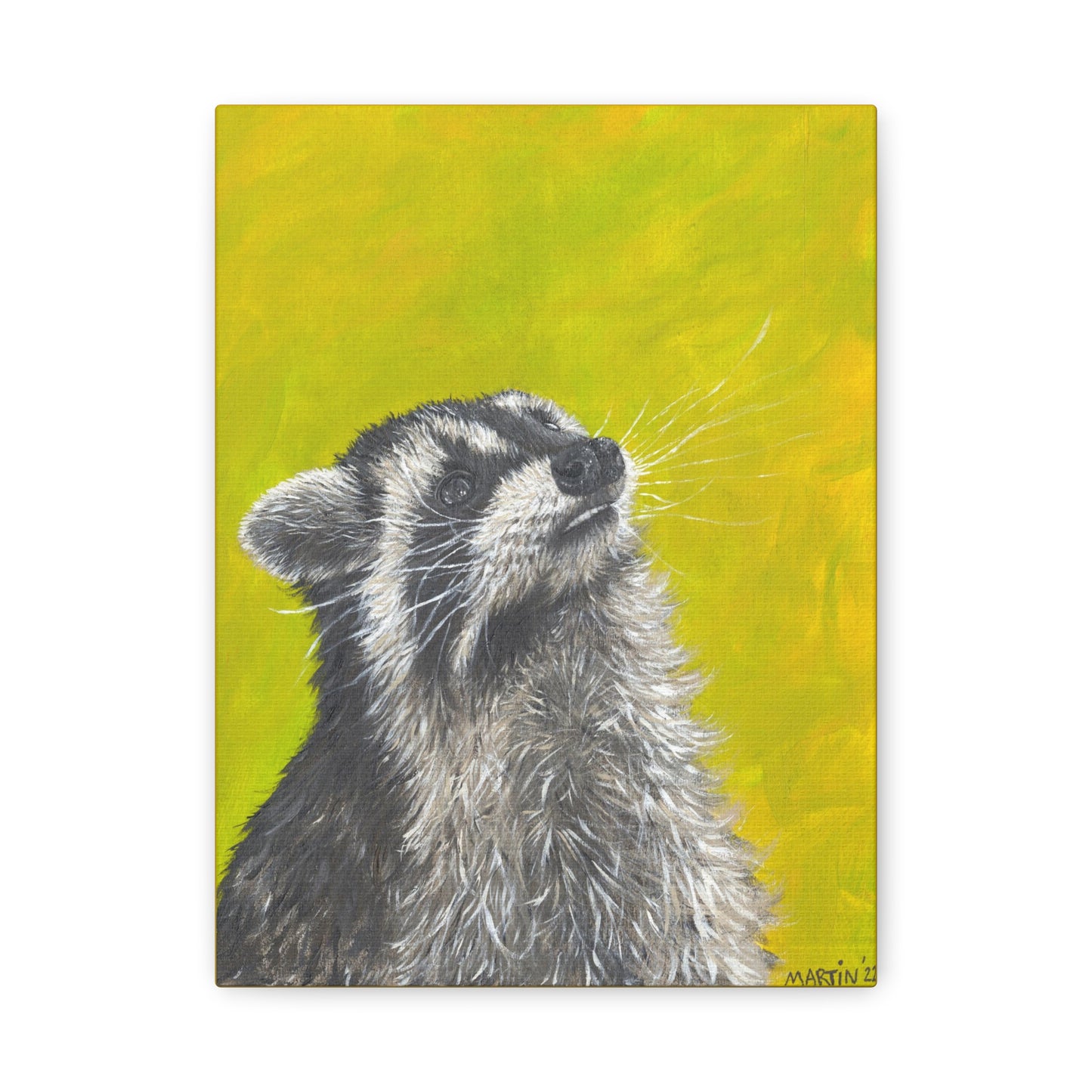Raccoon Canvas Gallery Wraps