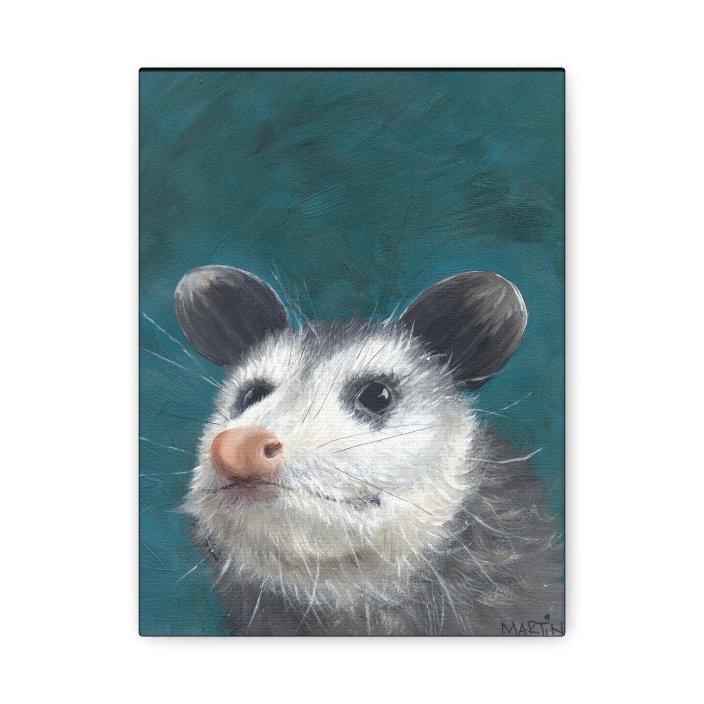 Baby Opossum Canvas Gallery Wraps