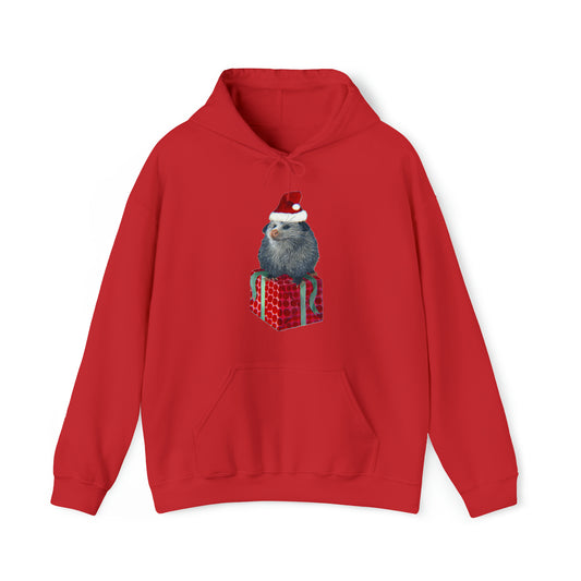 Christmas Opossum Unisex Heavy Blend™ Hooded Sweatshirt