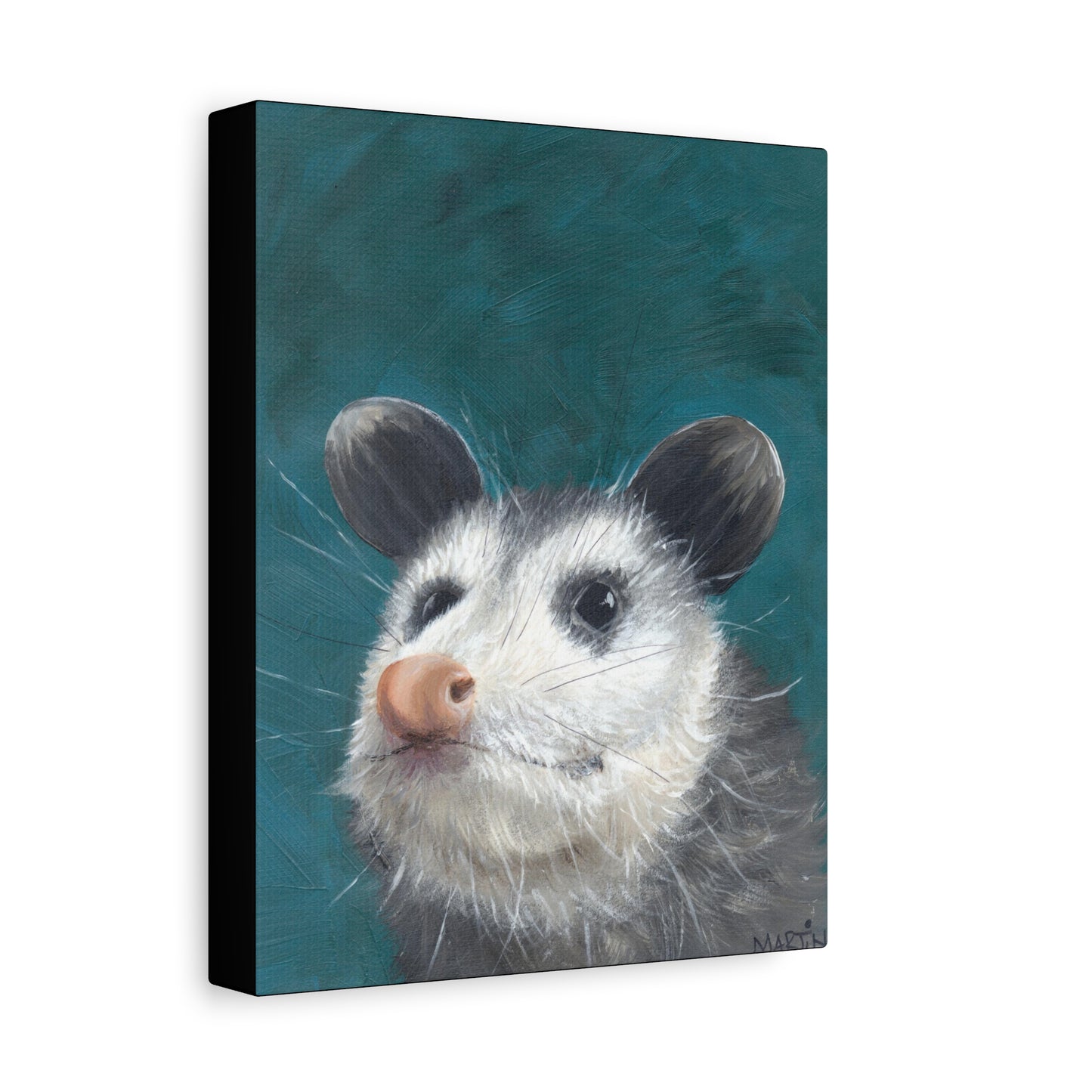 Baby Opossum Canvas Gallery Wraps