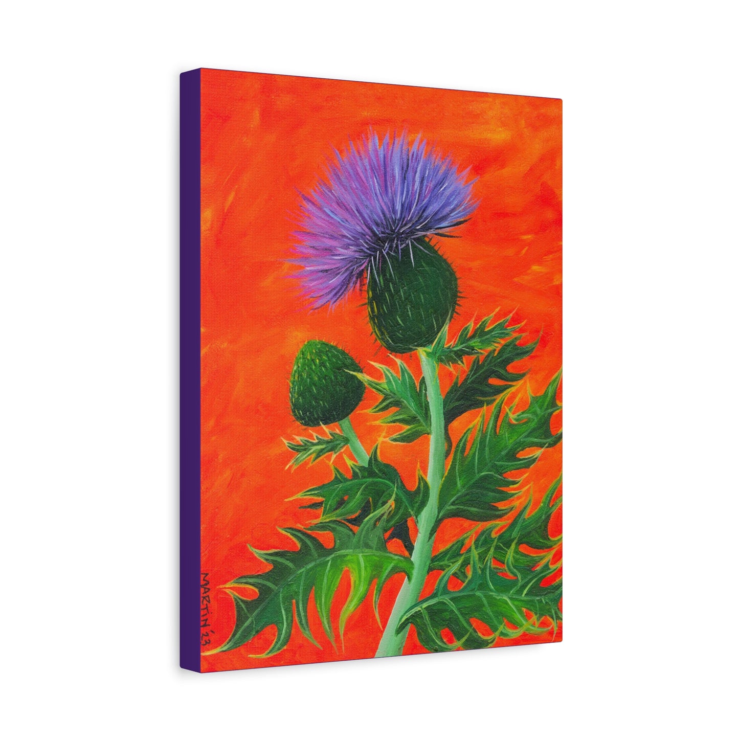 Thistle Canvas Gallery Wraps