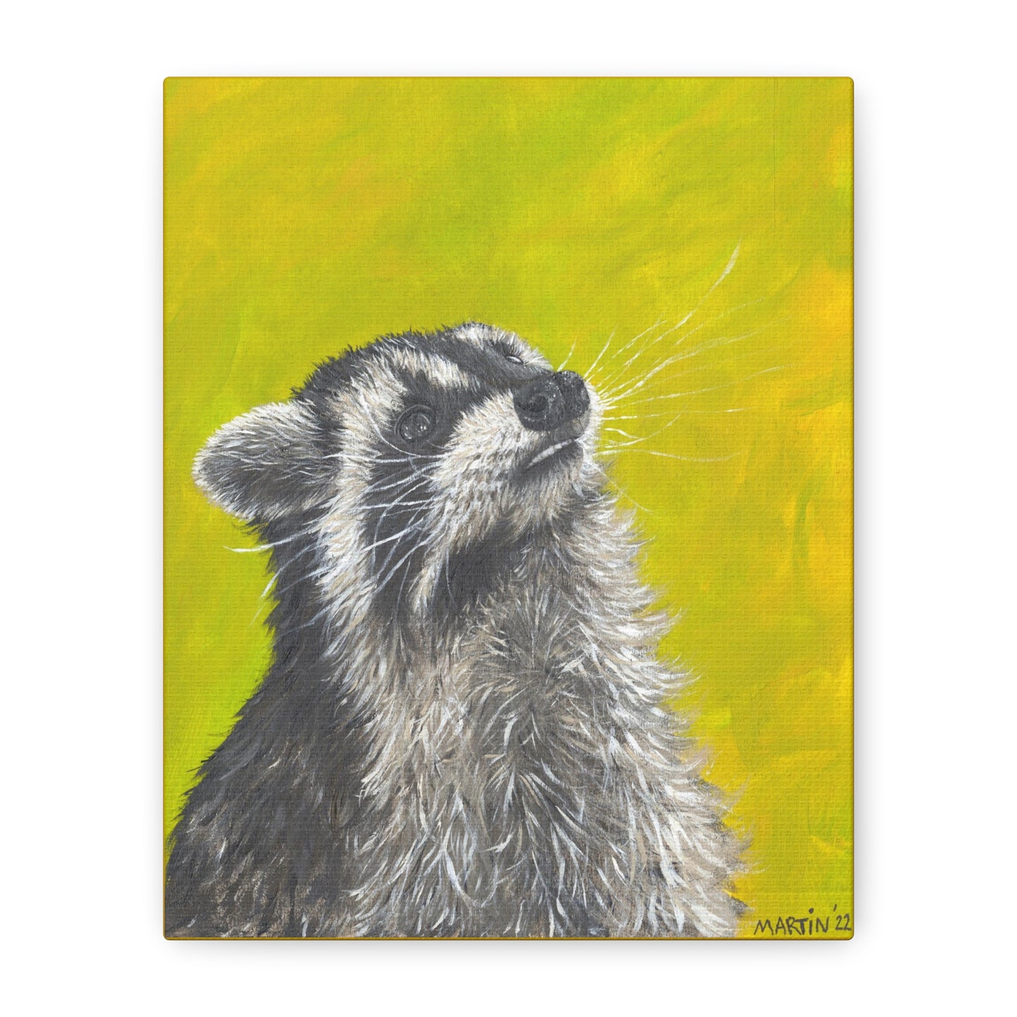 Raccoon Canvas Gallery Wraps