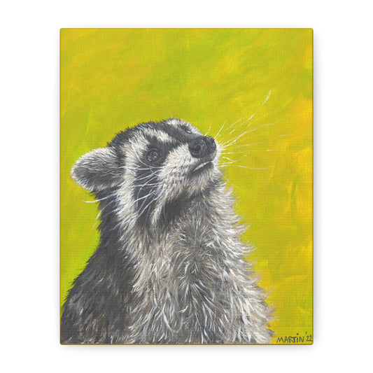 Raccoon Canvas Gallery Wraps