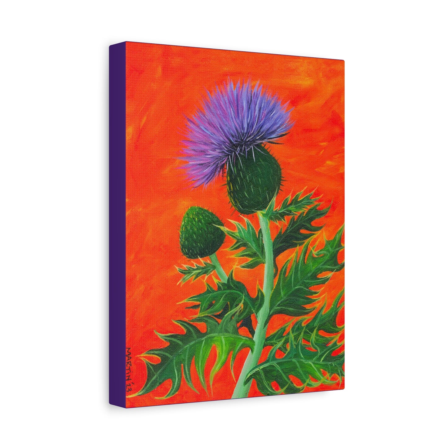 Thistle Canvas Gallery Wraps