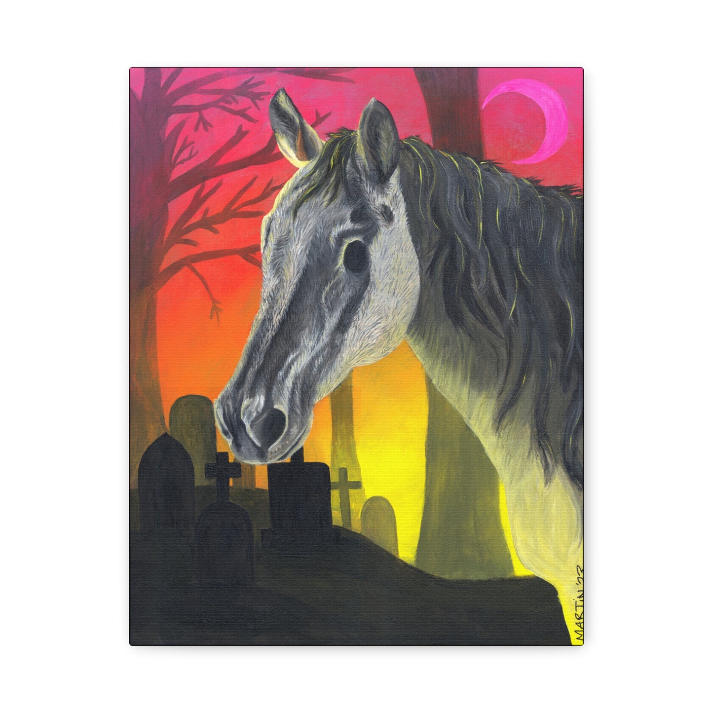 Spooky Horse Canvas Gallery Wraps