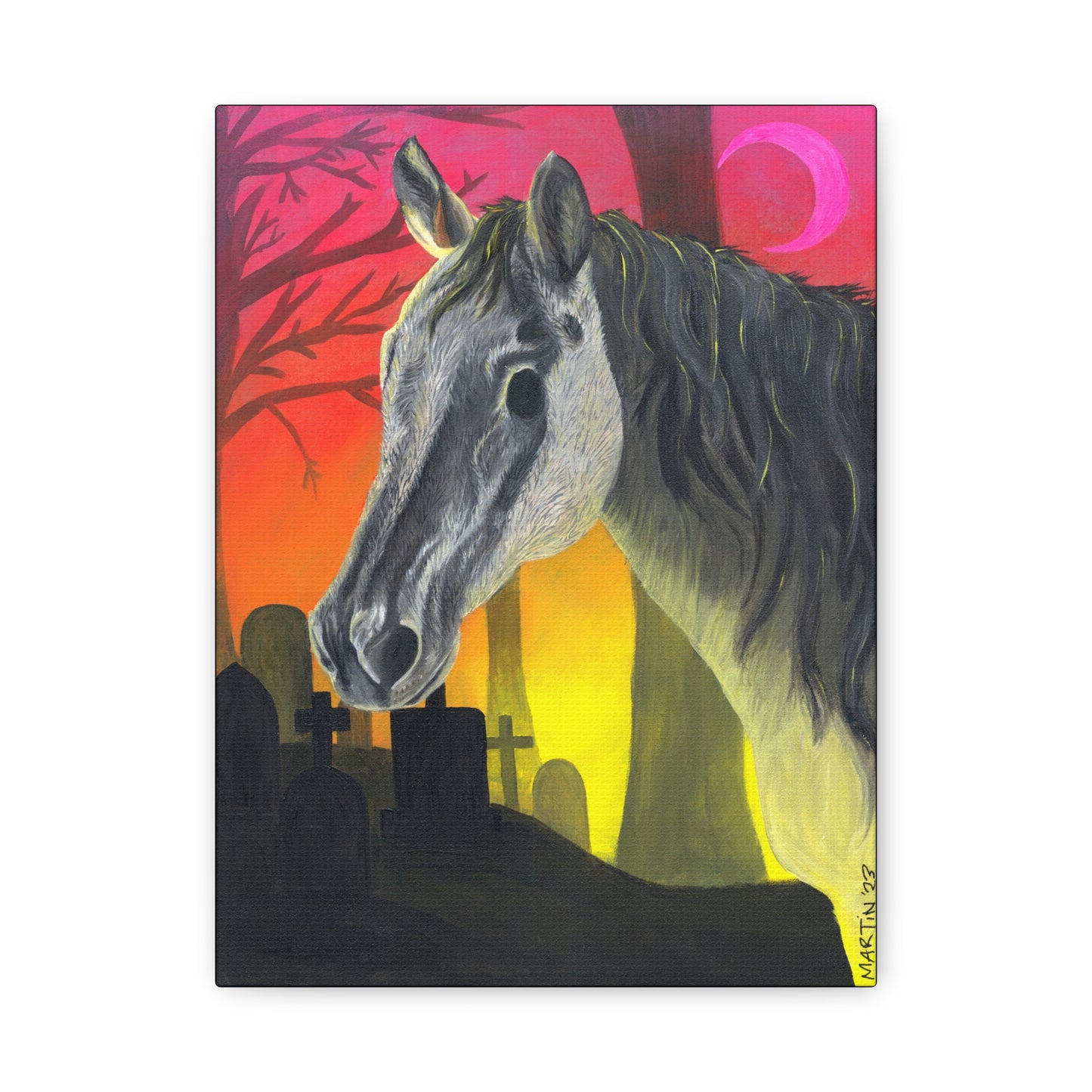 Spooky Horse Canvas Gallery Wraps