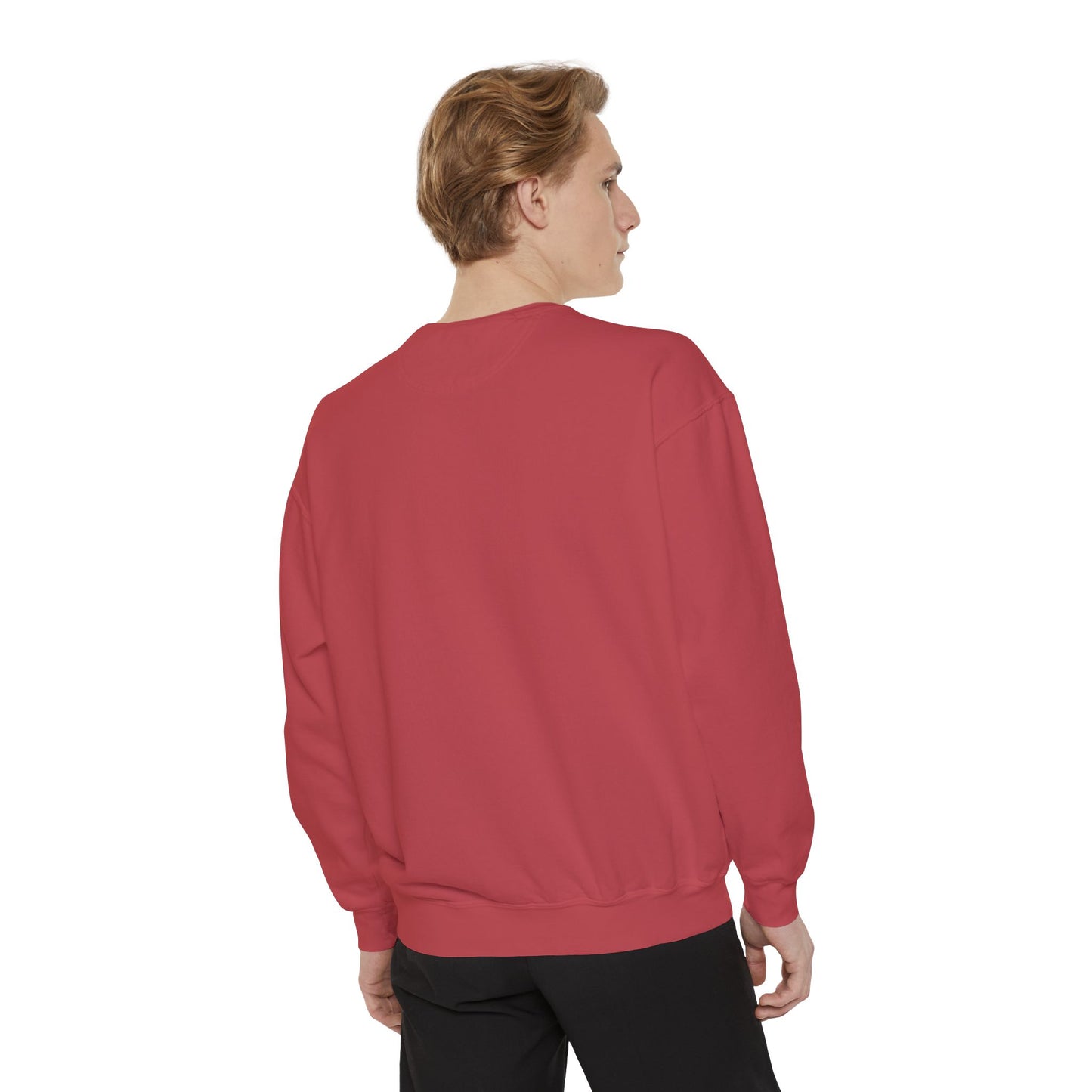Dave and the Skull of His Enemy Unisex Garment-Dyed Sweatshirt