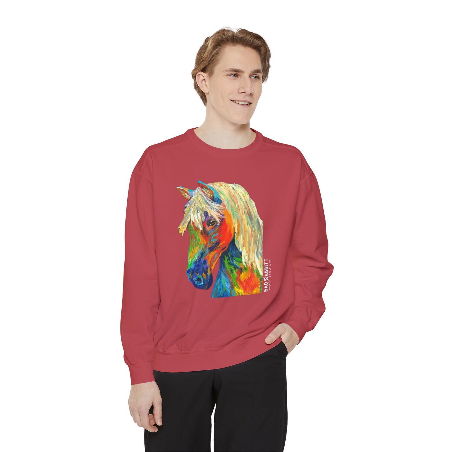Rainbow Horse Unisex Garment-Dyed Sweatshirt