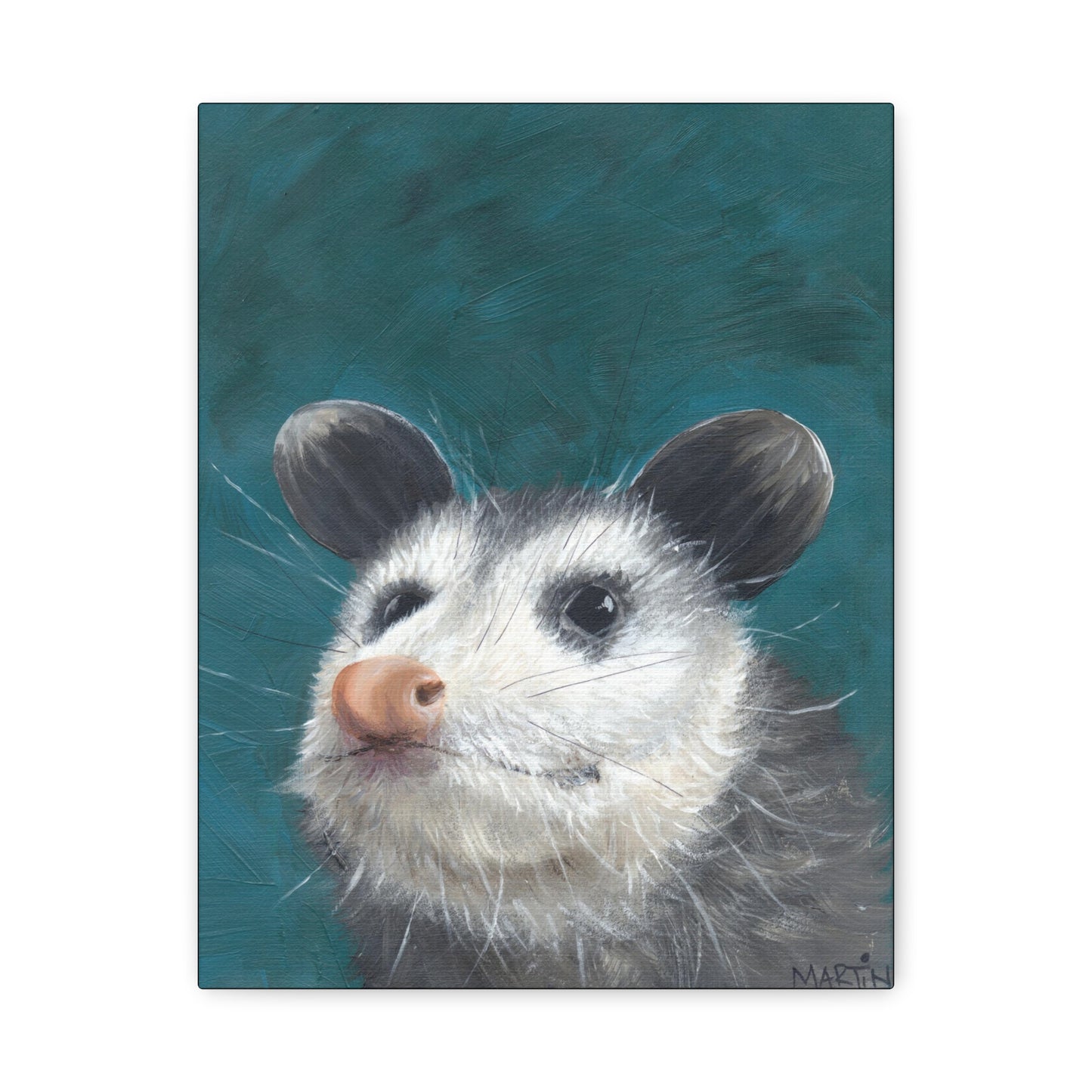 Baby Opossum Canvas Gallery Wraps