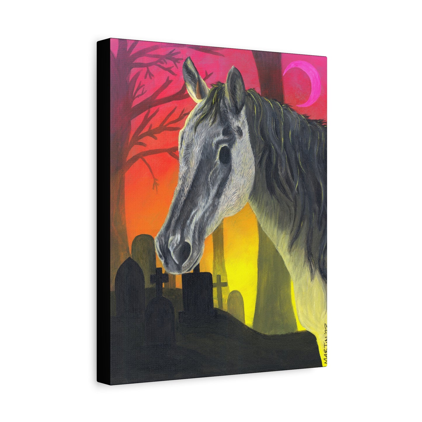 Spooky Horse Canvas Gallery Wraps