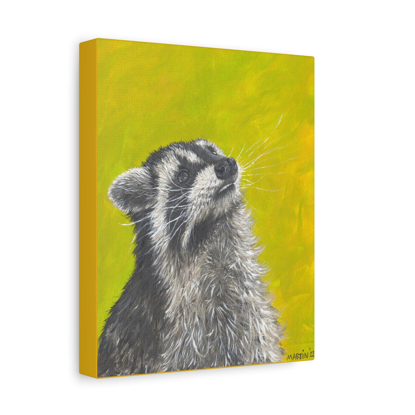 Raccoon Canvas Gallery Wraps