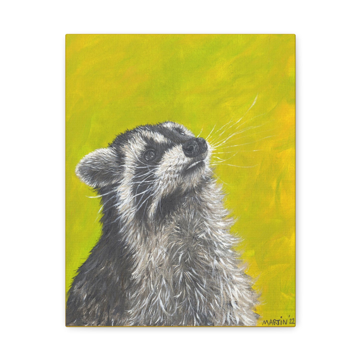 Raccoon Canvas Gallery Wraps