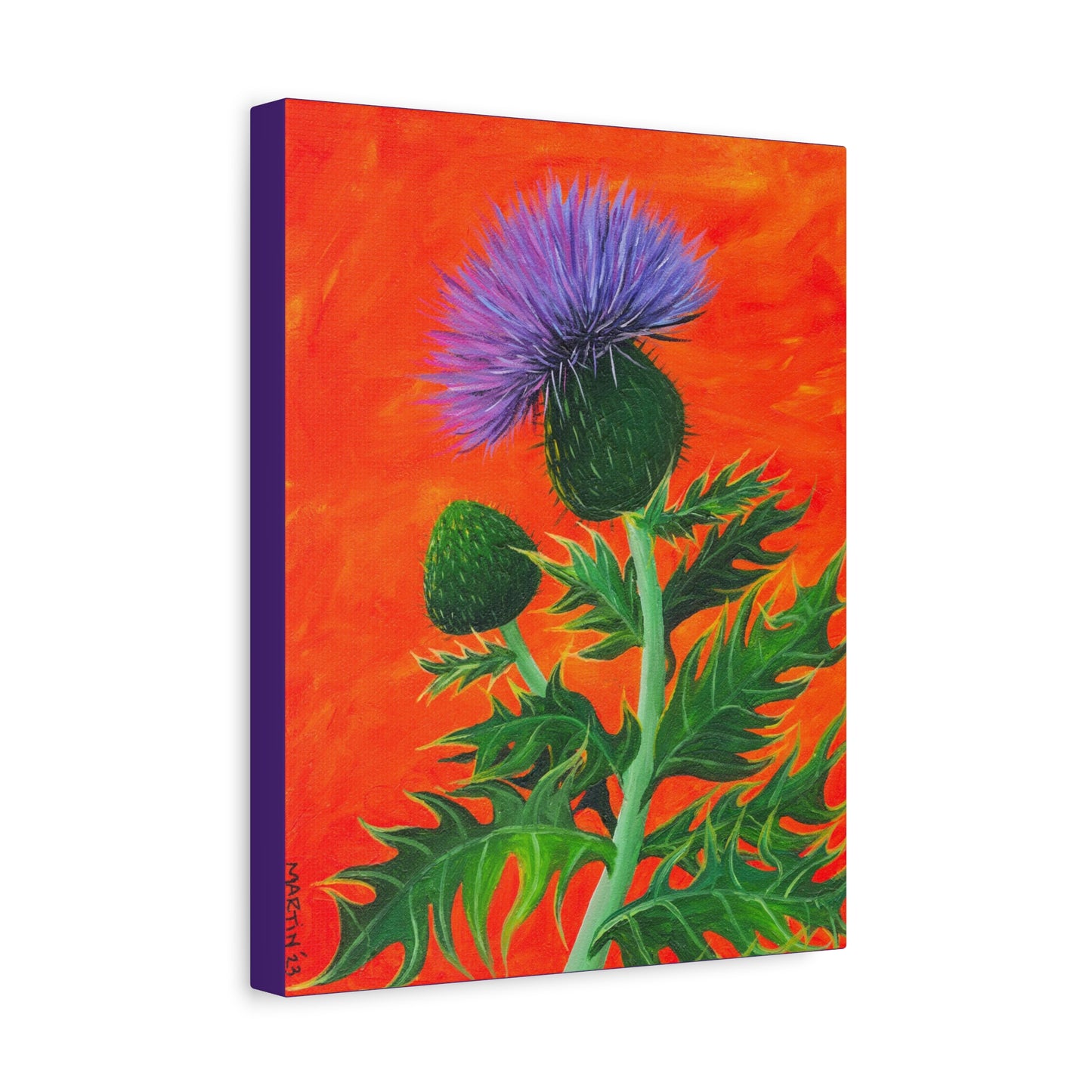 Thistle Canvas Gallery Wraps