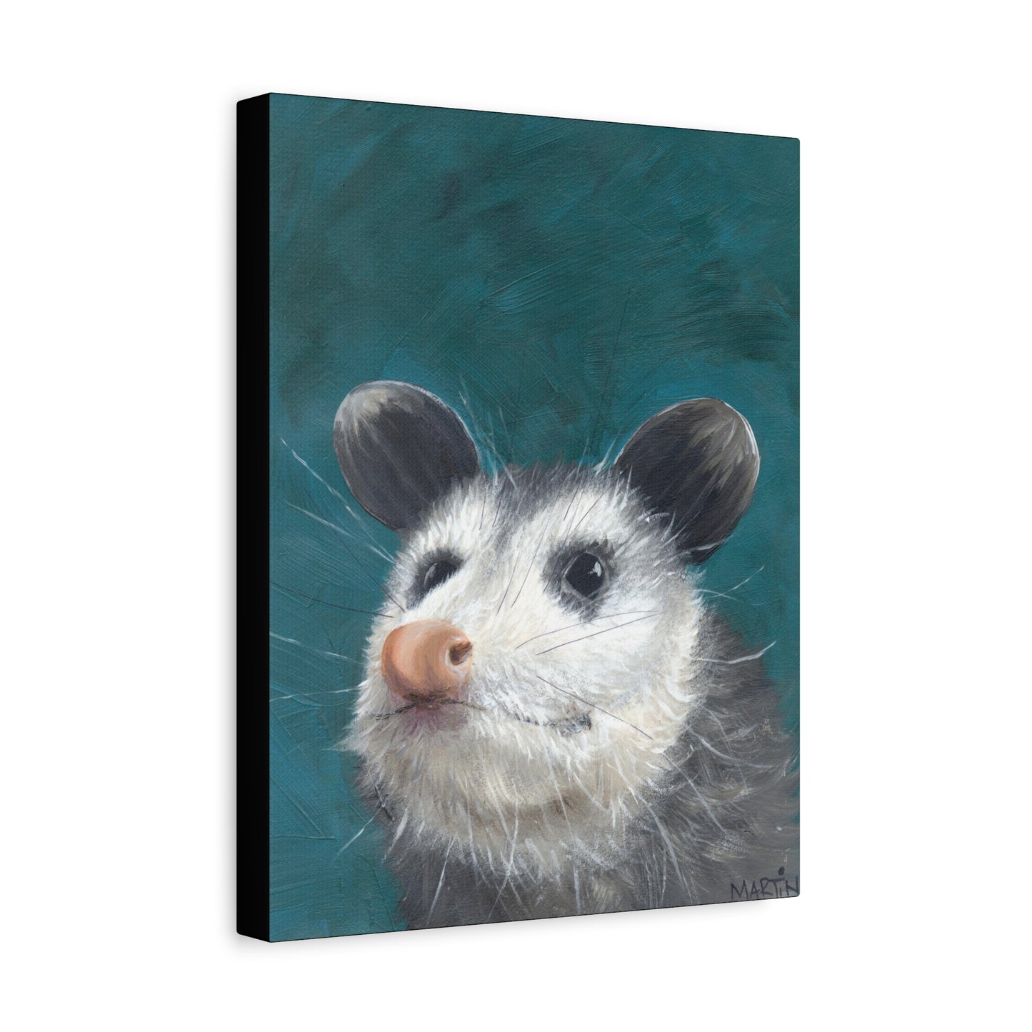 Baby Opossum Canvas Gallery Wraps