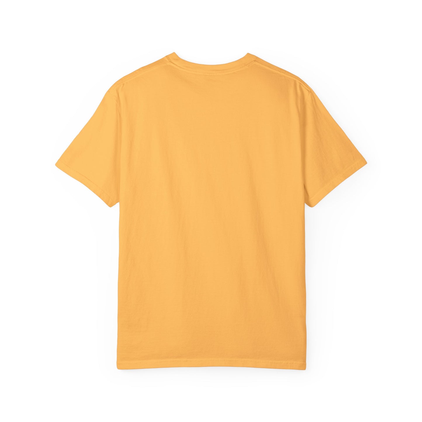 Dude Bro Horse Unisex Garment-Dyed T-shirt