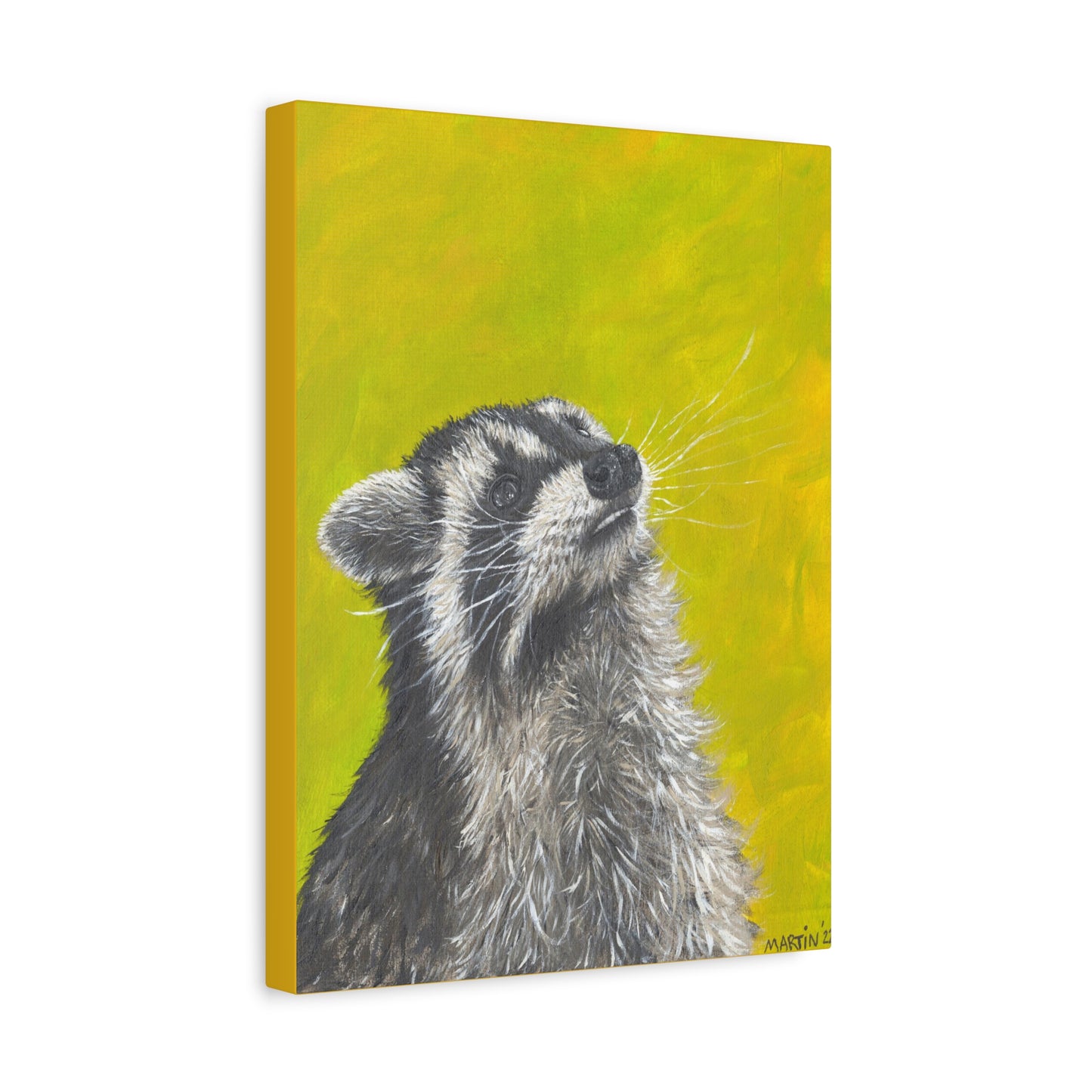Raccoon Canvas Gallery Wraps