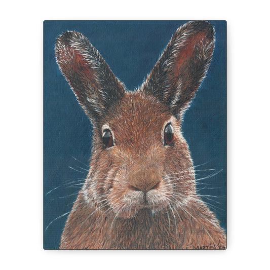 Carl the Rabbit Canvas Gallery Wraps