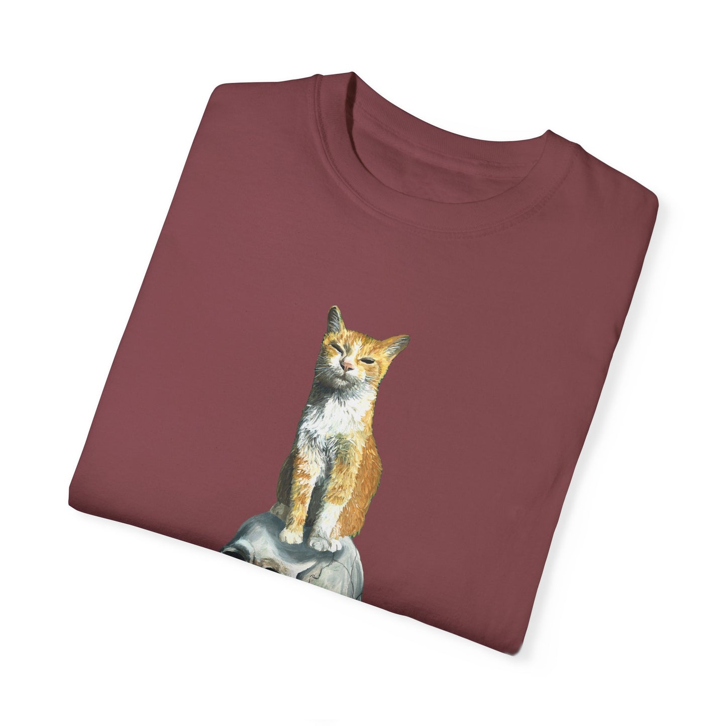 Dave and the Skull of His Enemy Unisex Garment-Dyed T-shirt