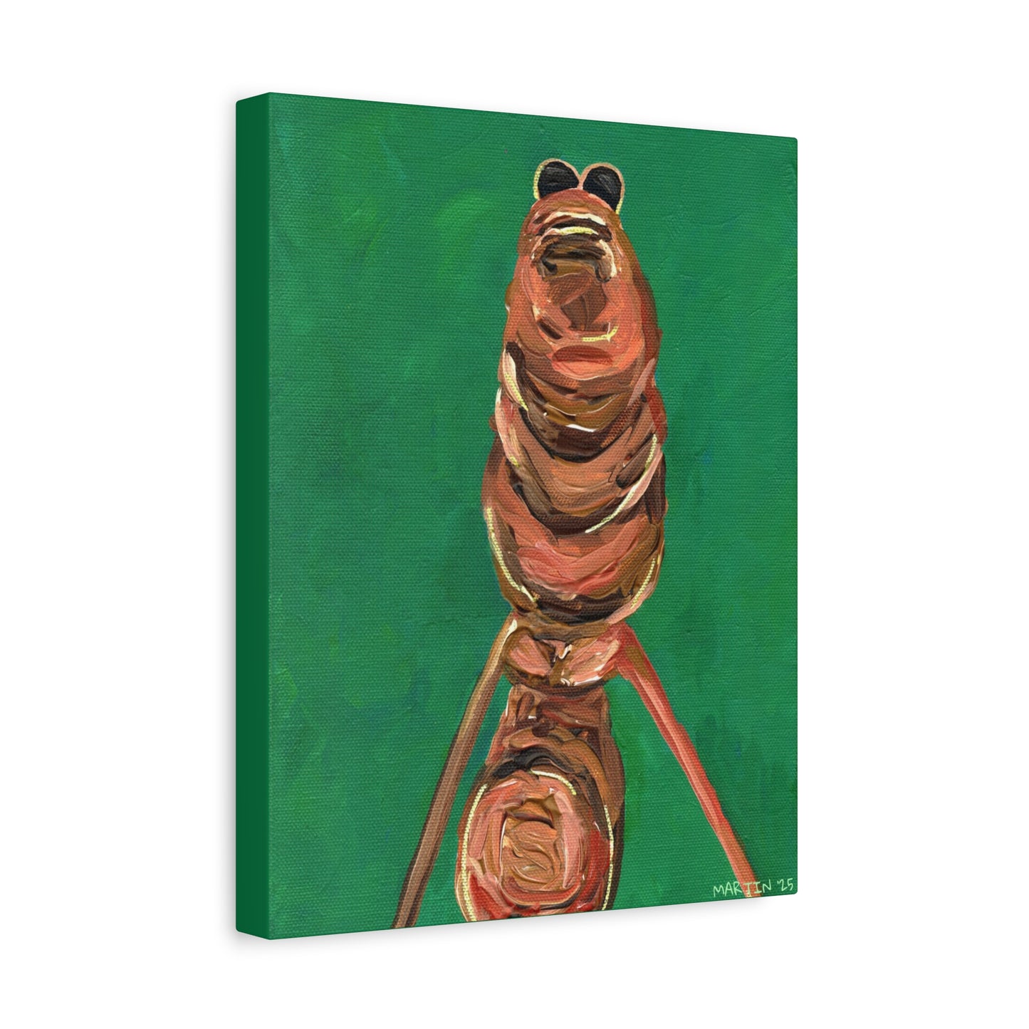 Marcus the Worm Matte Canvas, Stretched, 1.25"