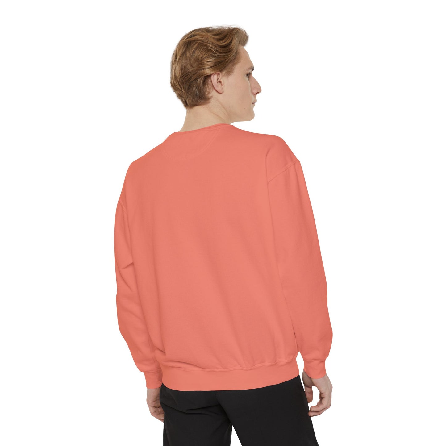 Dave and the Skull of His Enemy Unisex Garment-Dyed Sweatshirt
