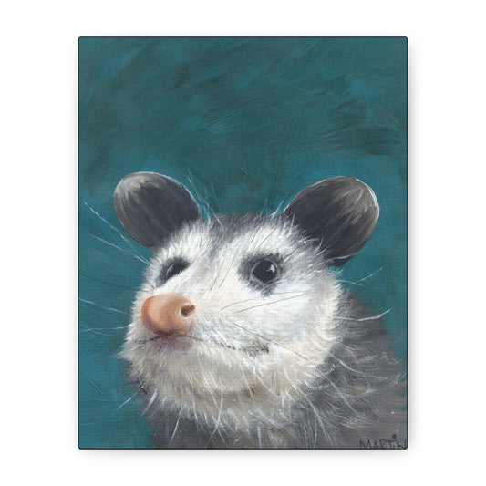 Baby Opossum Canvas Gallery Wraps