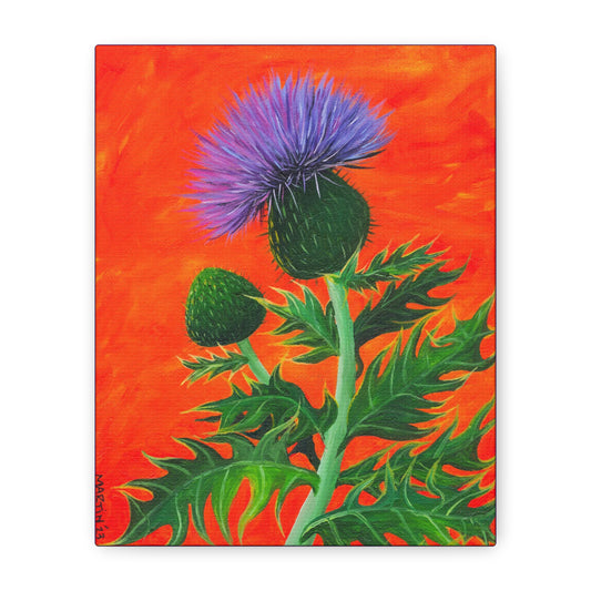 Thistle Canvas Gallery Wraps