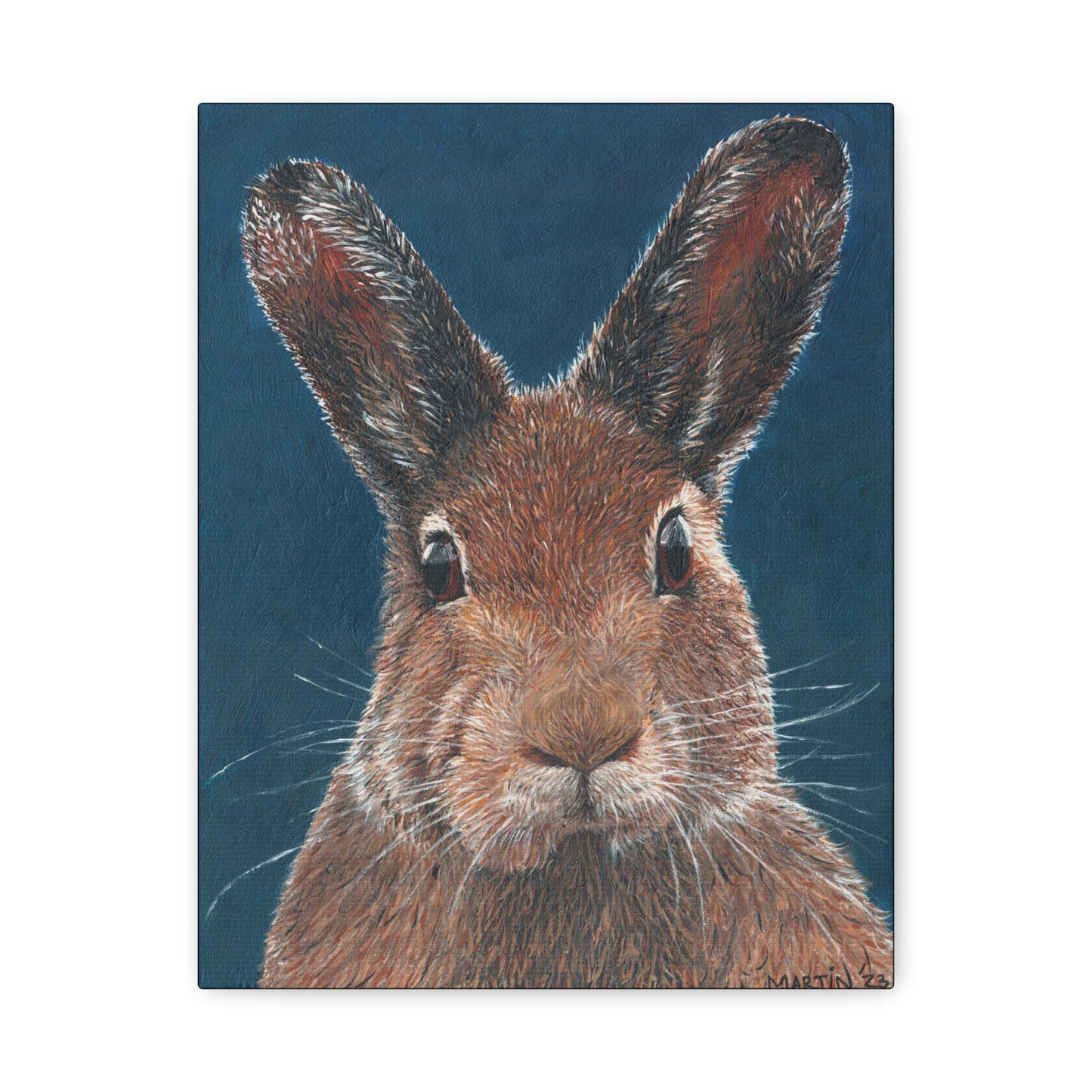 Carl the Rabbit Canvas Gallery Wraps